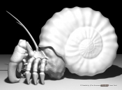 634_risen 3D-model- hermit-crab-1-User Horrorente.jpg